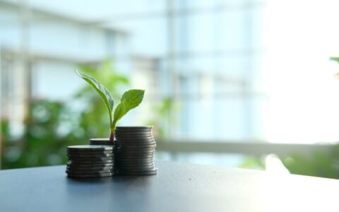 A small plant sprouting from stacked silver coins, symbolizing growth in finance.