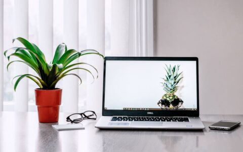 A stylish workspace featuring a laptop, plant, and smartphone on a desk.