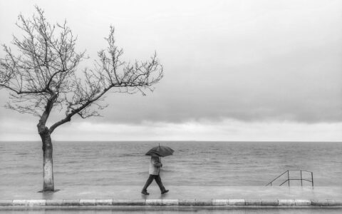 A solitary person with an umbrella walks along a seaside road in gloomy weather.