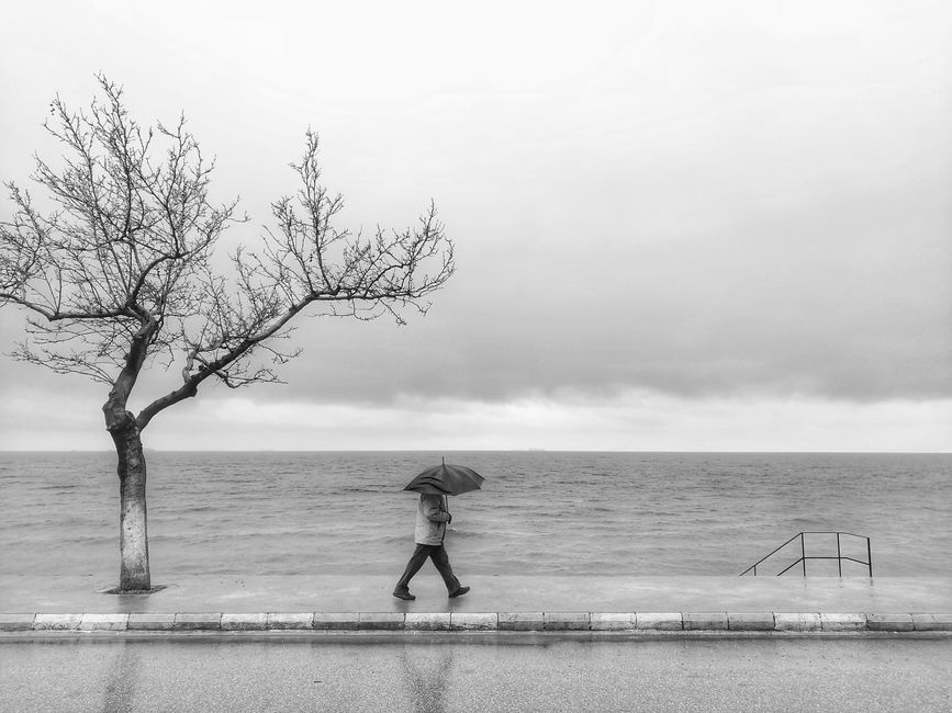 A solitary person with an umbrella walks along a seaside road in gloomy weather.